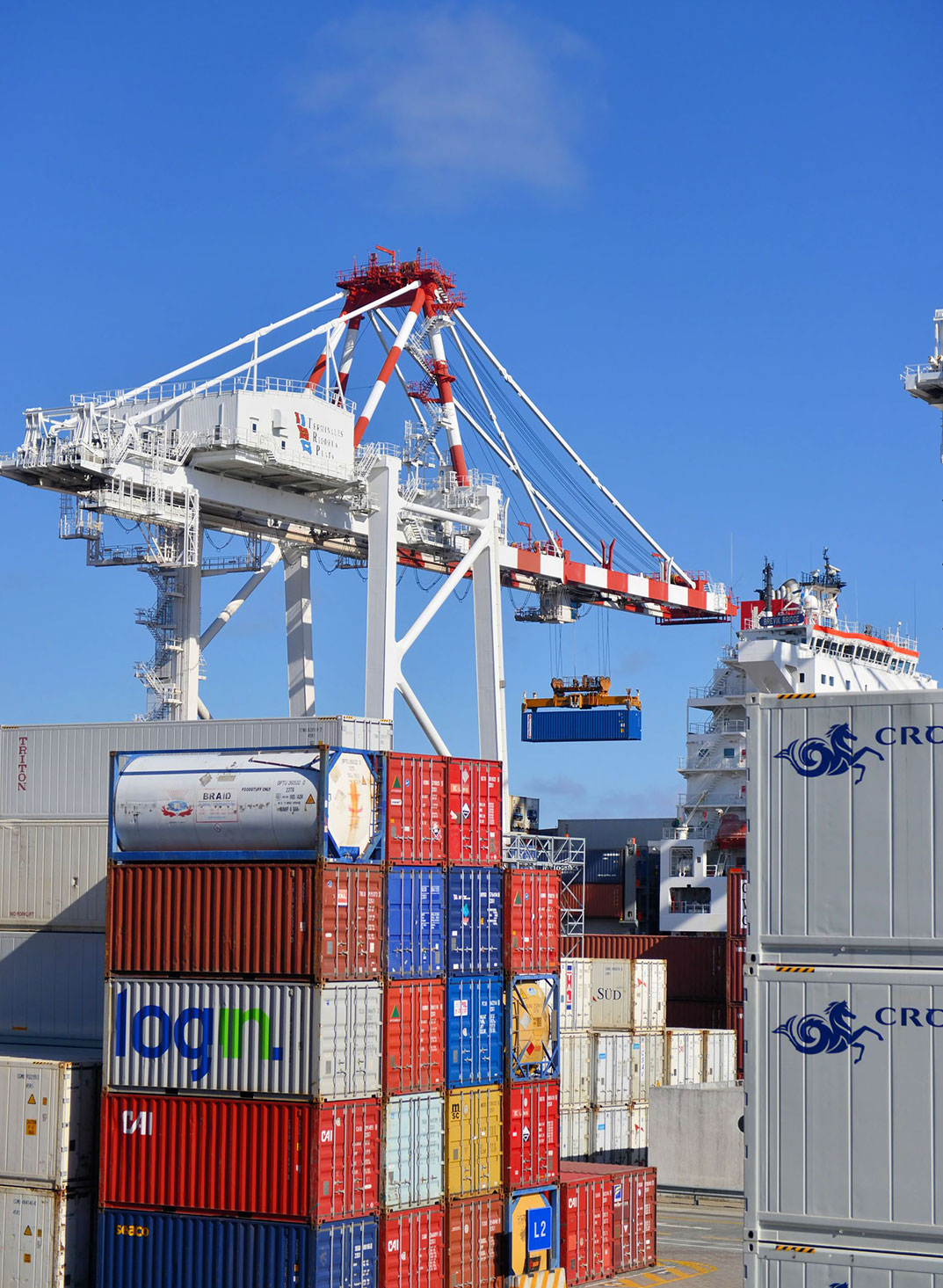Sourcing & Supplier Identification